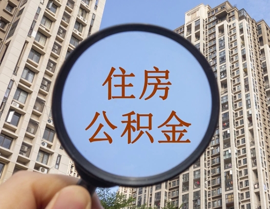 兴化退休后查不到公积金明细了吗（退休后公积金查询不到原因）